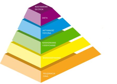 piramida długowieczności